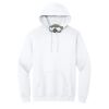 Heavy Blend  Hooded Sweatshirt Thumbnail
