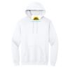 Heavy Blend  Hooded Sweatshirt Thumbnail