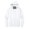 Heavy Blend  Hooded Sweatshirt Thumbnail