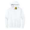 Heavy Blend  Hooded Sweatshirt Thumbnail