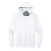 Heavy Blend  Hooded Sweatshirt Thumbnail