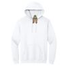 Heavy Blend  Hooded Sweatshirt Thumbnail