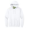 Heavy Blend  Hooded Sweatshirt Thumbnail