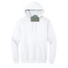 Heavy Blend  Hooded Sweatshirt Thumbnail