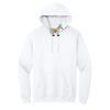 Heavy Blend  Hooded Sweatshirt Thumbnail