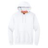 Heavy Blend  Hooded Sweatshirt Thumbnail