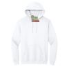 Heavy Blend  Hooded Sweatshirt Thumbnail