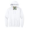 Heavy Blend  Hooded Sweatshirt Thumbnail